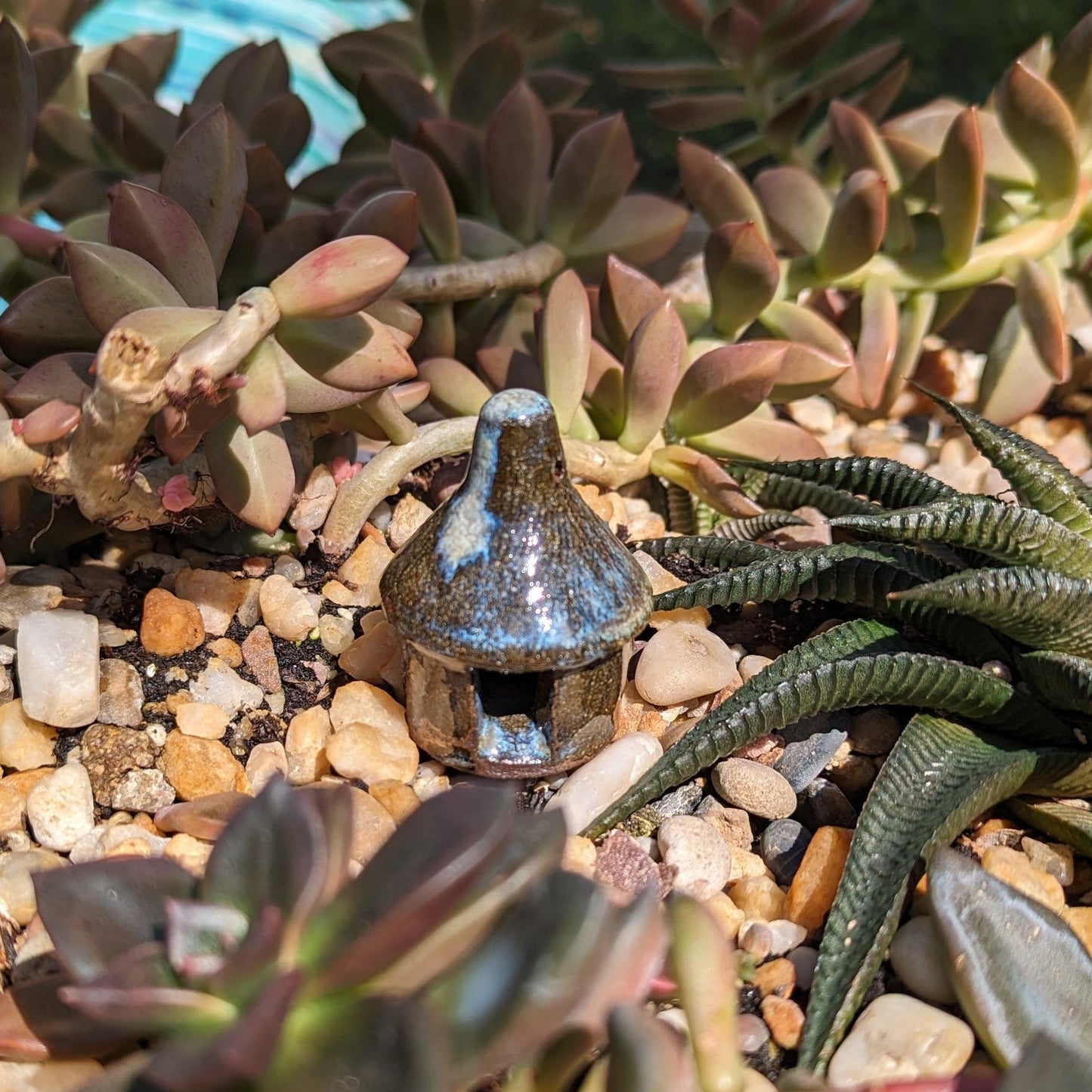 Mushroom House Lantern and Miniature House